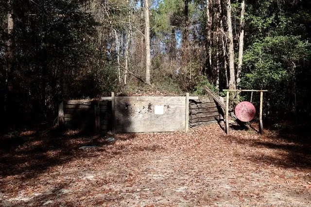 a view of backyard with green space