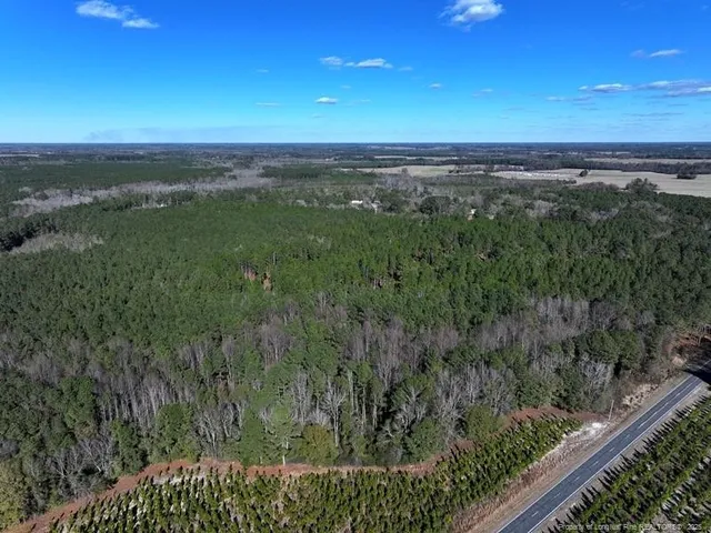 a view of a city from a yard