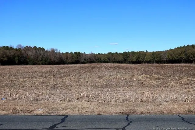 a view of yard covered with snow