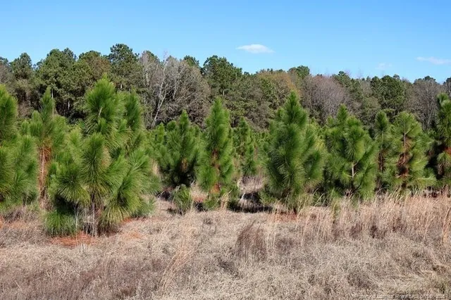a view of outdoor space with trees