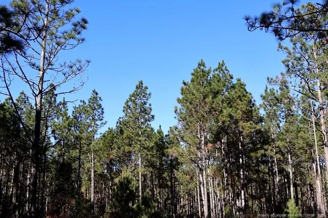 a view of a backyard of a house