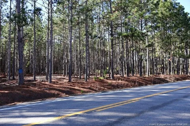a view of outdoor space with deck and trees