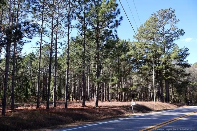 $850,000 | Tbd Tbd Stuart's Mill Road, Fairmont, NC 28340