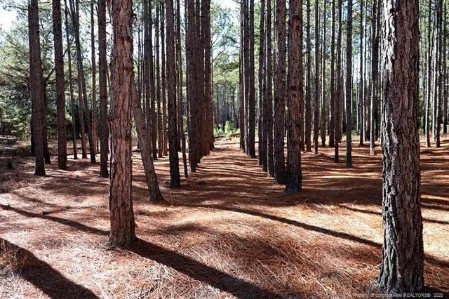 $850,000 | Tbd Tbd Stuart's Mill Road, Fairmont, NC 28340