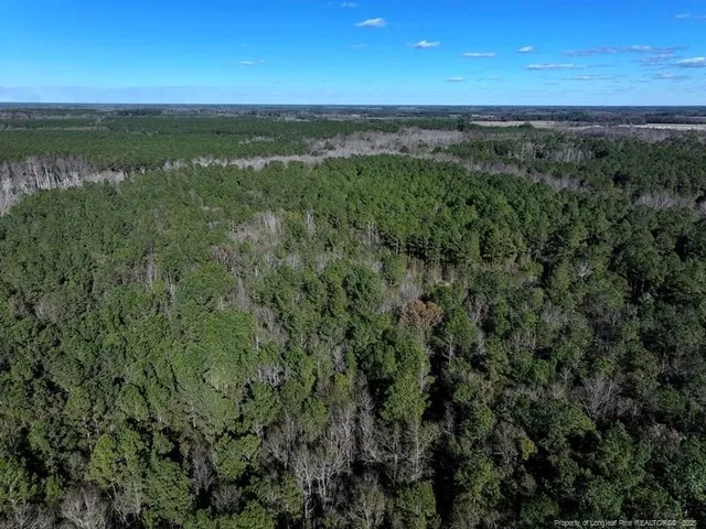 a view of an ocean and a yard