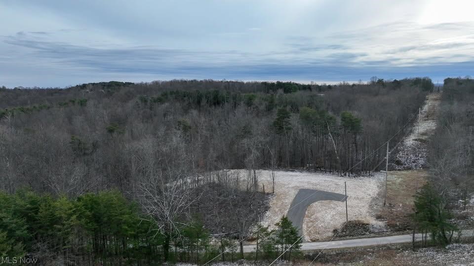 0 Holbrook Road Beaver, OH 45613 - Photo 9 of 12