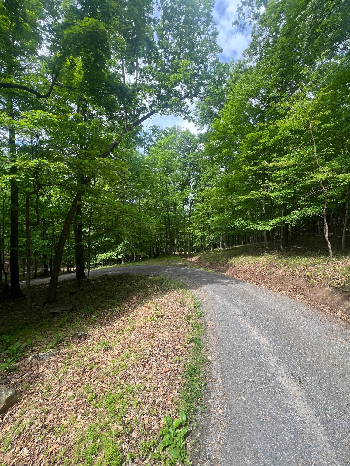 Edgar Lane Upper Tract, WV 26866 - Photo 20 of 22 Roadway access near Lot 2