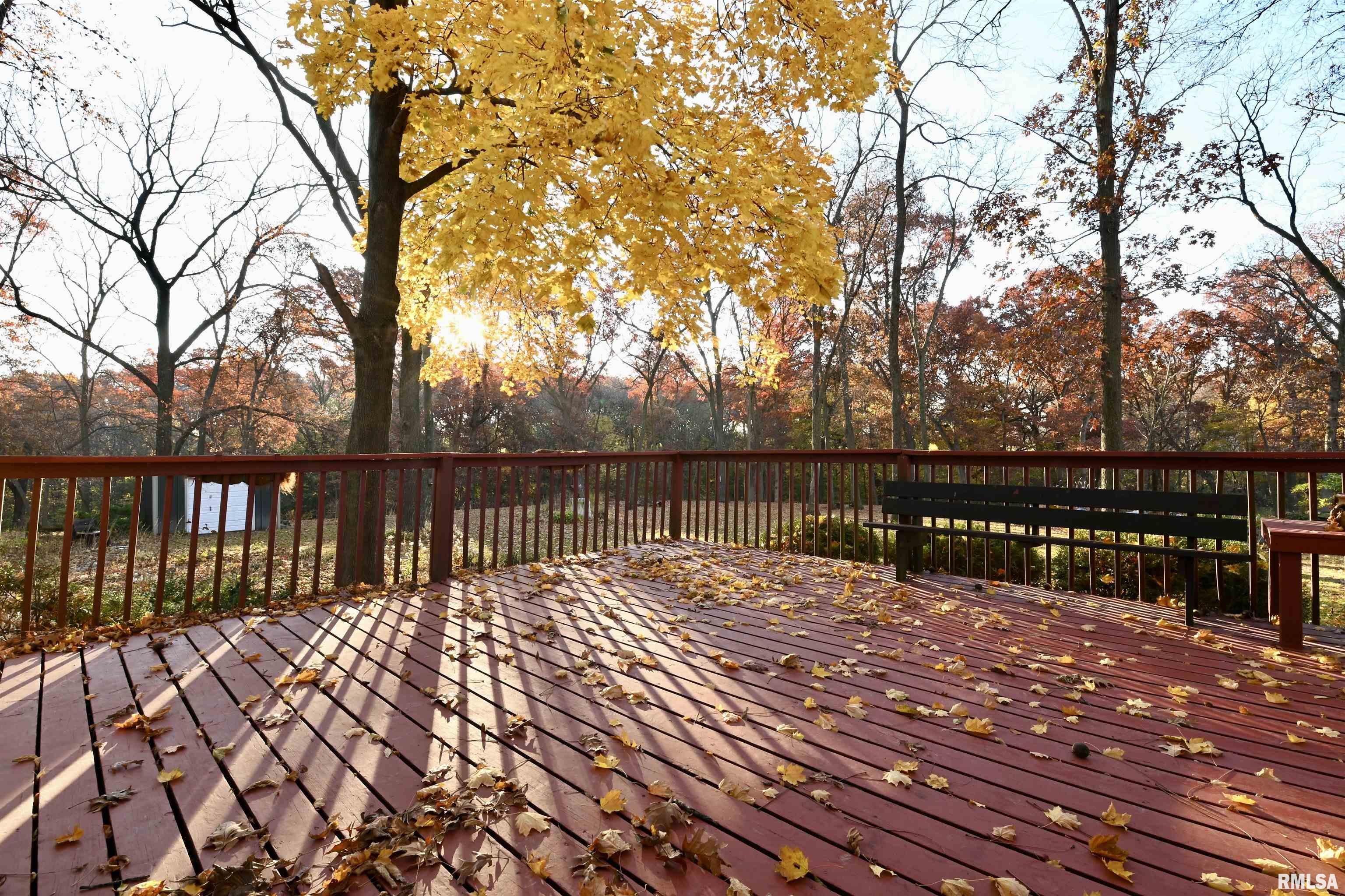 12626 West Akron Road Princeville, IL 61559 - Photo 48 of 65 Gallery Image 48