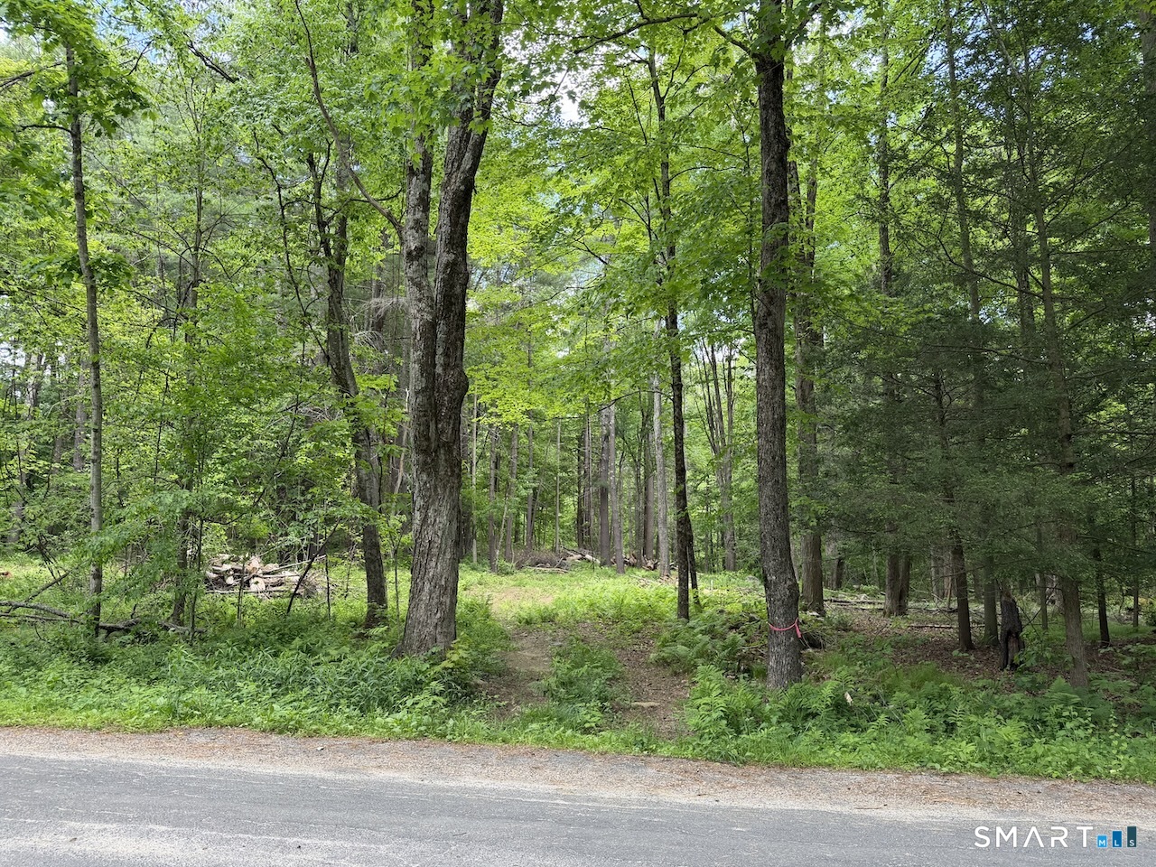 0 Great Hollow Road West Cornwall, CT 06796 - Photo 2 of 10