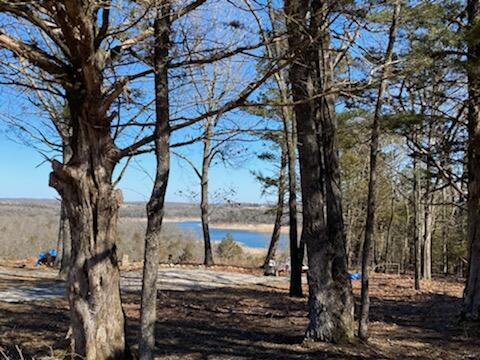 0 Lakeshore Road, Unit LOT # 7 Protem, MO 65733 - Photo 18 of 22 IMG_4447
