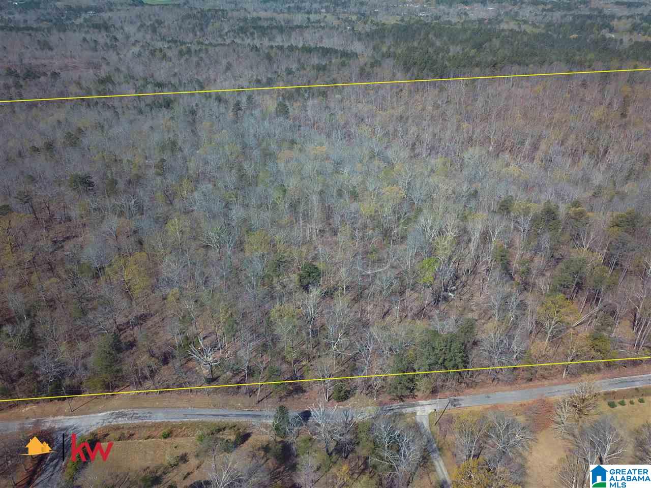 0 Powell Road Remlap, AL 35133 - Photo 18 of 19