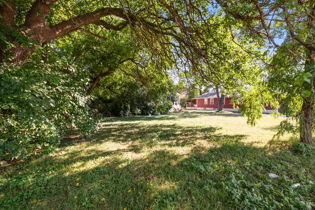 a view of outdoor space with trees all around