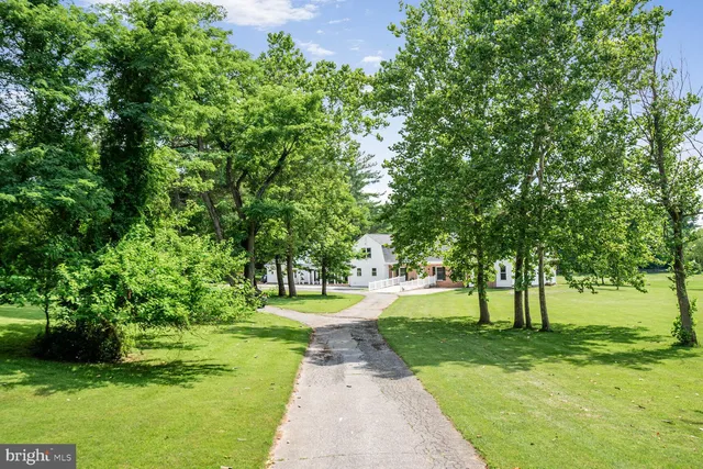 a view of a park with plants and trees