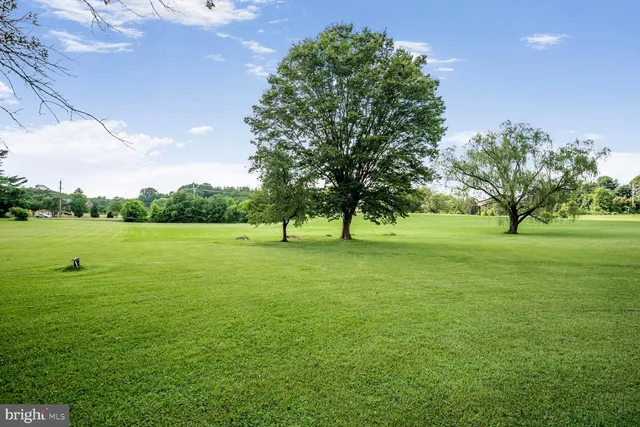 a view of a field of grass and trees