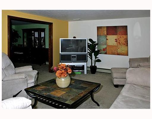 247 Nelson Run Road Pittsburgh, PA 15237 - Photo 6 of 12 Living Room.