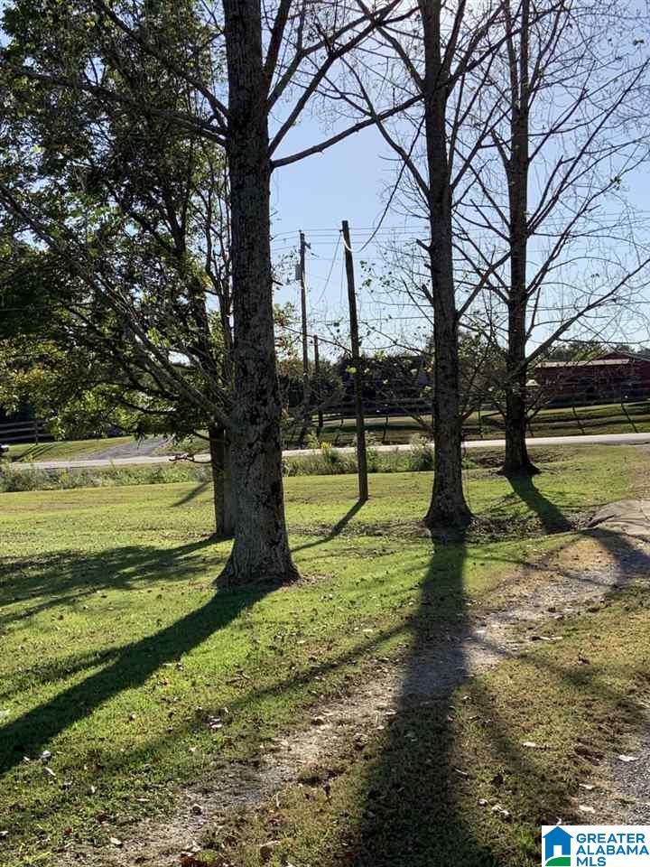 2431 Oneonta Cut-Off Road Albertville, AL 35950 - Photo 3 of 27