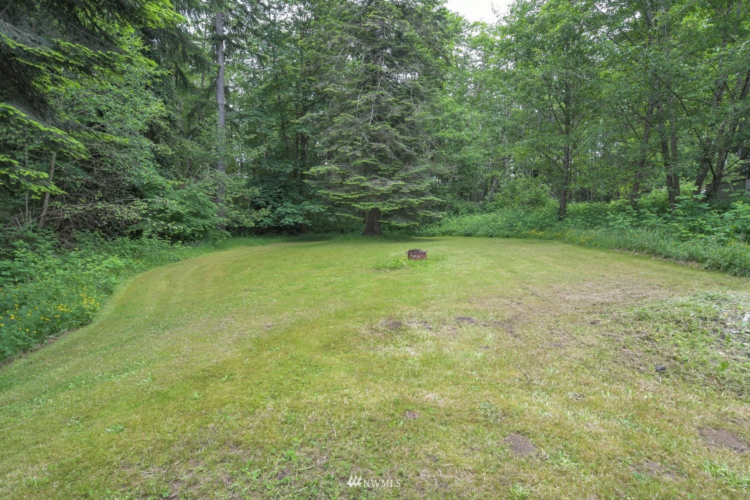 75 Malone Hill Road Elma, WA 98541 - Photo 22 of 39 Gallery Image 22