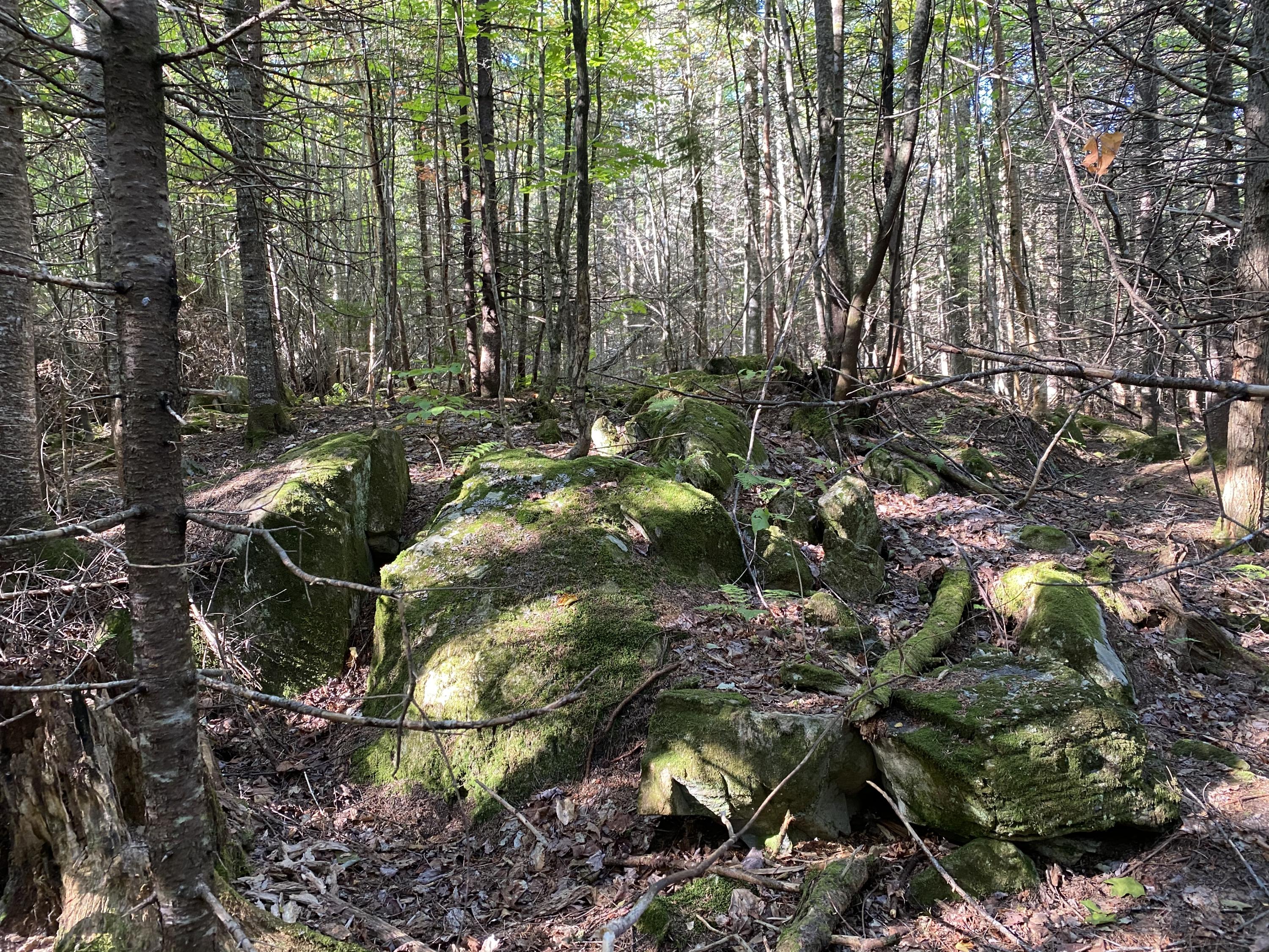 Lot 97-99 Winding Hill Road Crystal, ME 04747 - Photo 5 of 10 IMG_1630