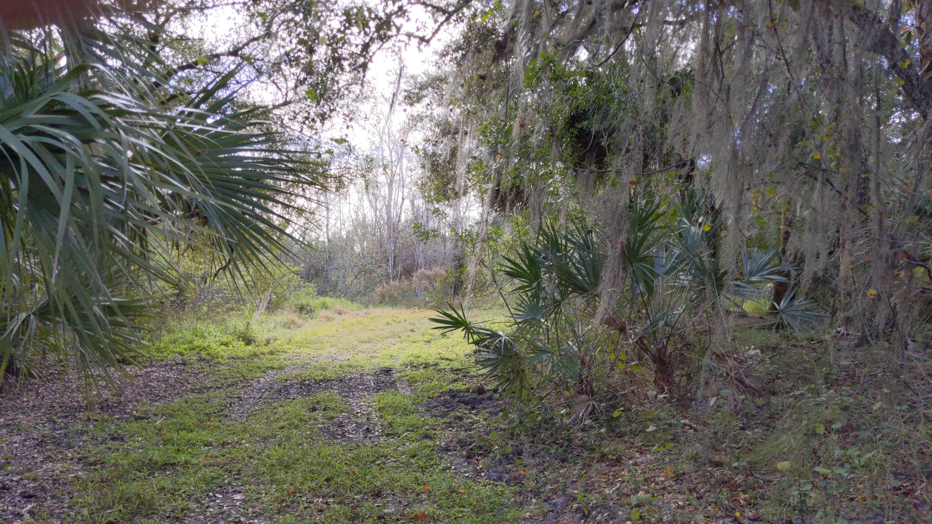7851 Southwest Fox Brown Road Indiantown, FL 34956 - Photo 46 of 67 IMG_20210109_114228