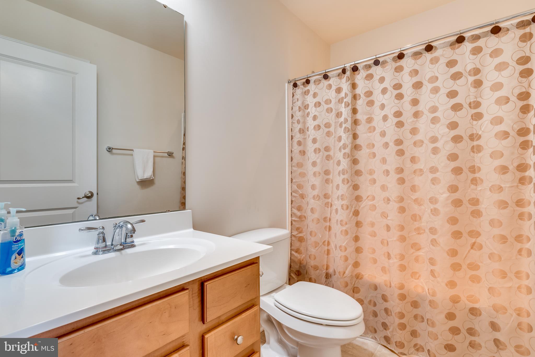 45 Gauley Riv Path Falling Waters, WV 25419 - Photo 24 of 47 Full bath