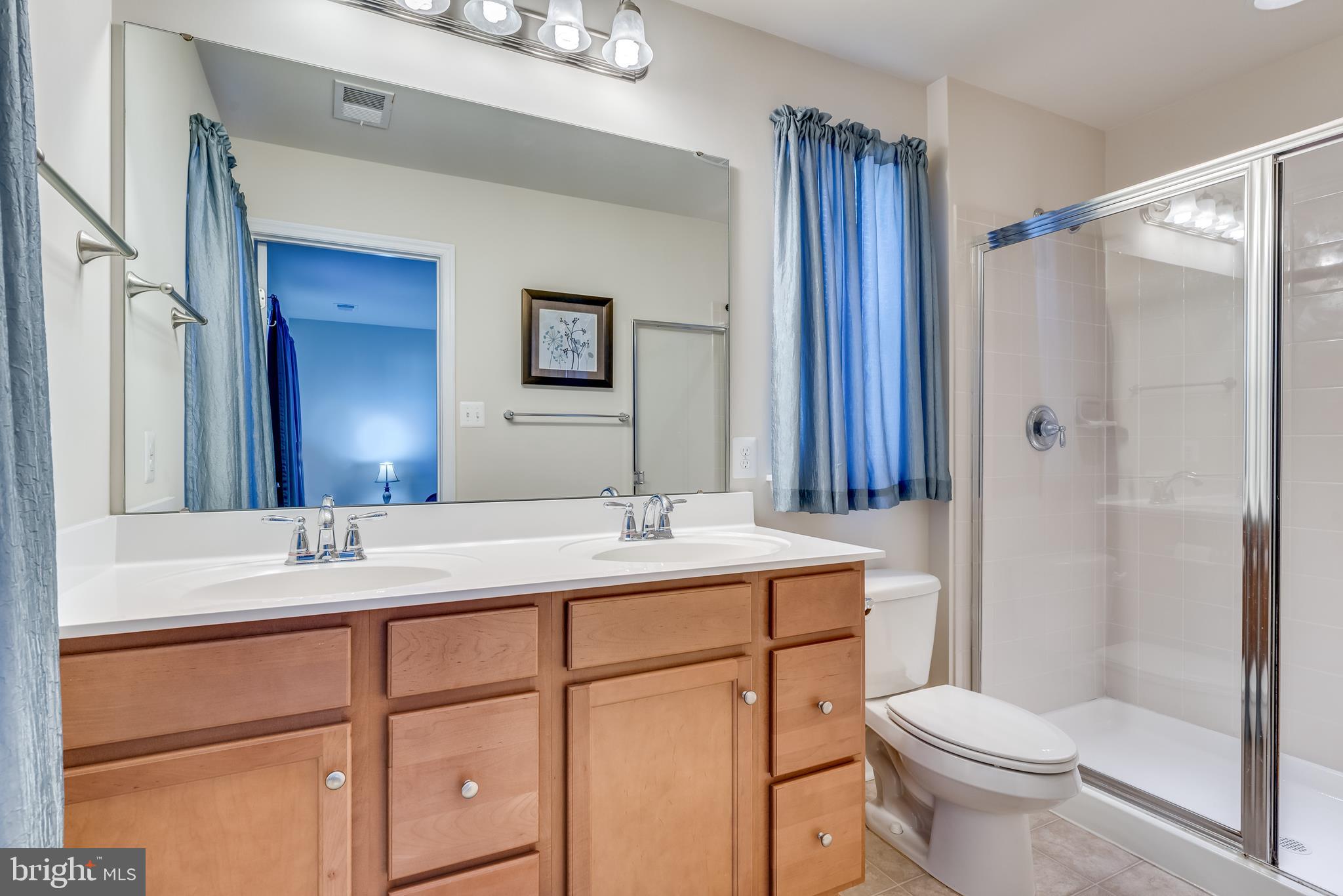 45 Gauley Riv Path Falling Waters, WV 25419 - Photo 34 of 47 Master bath
