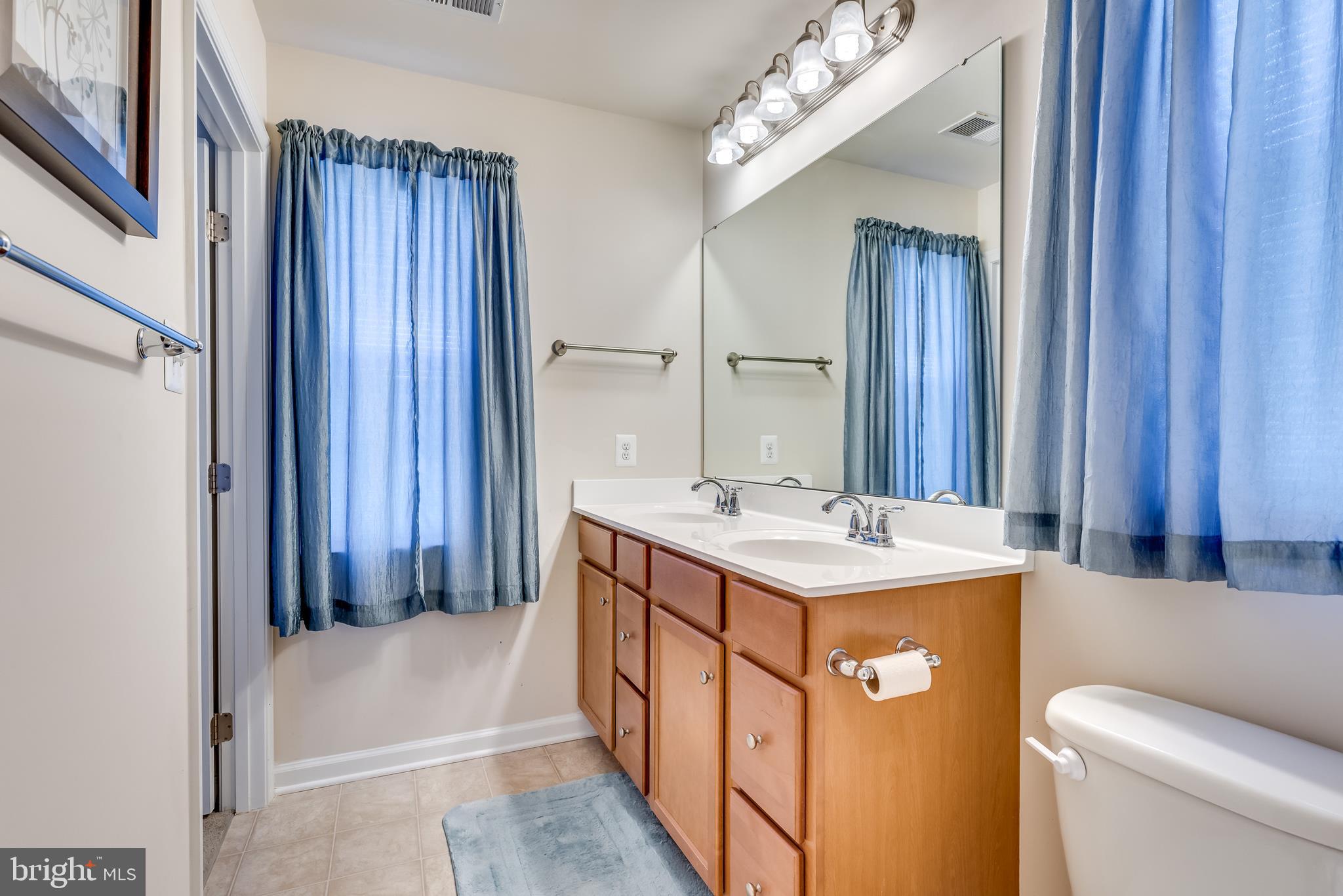 45 Gauley Riv Path Falling Waters, WV 25419 - Photo 35 of 47 Master bath