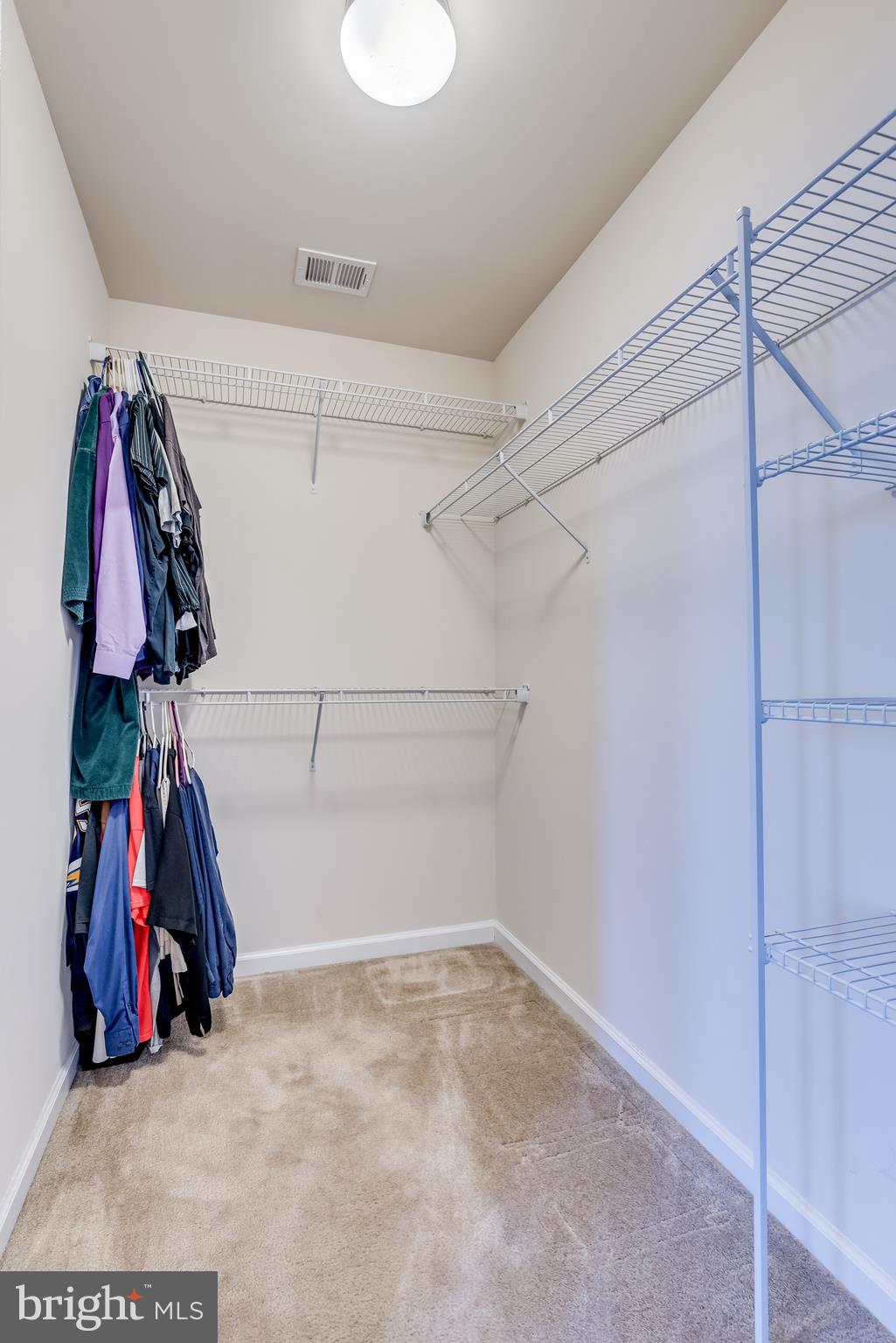45 Gauley Riv Path Falling Waters, WV 25419 - Photo 36 of 47 Master suite walk in closet
