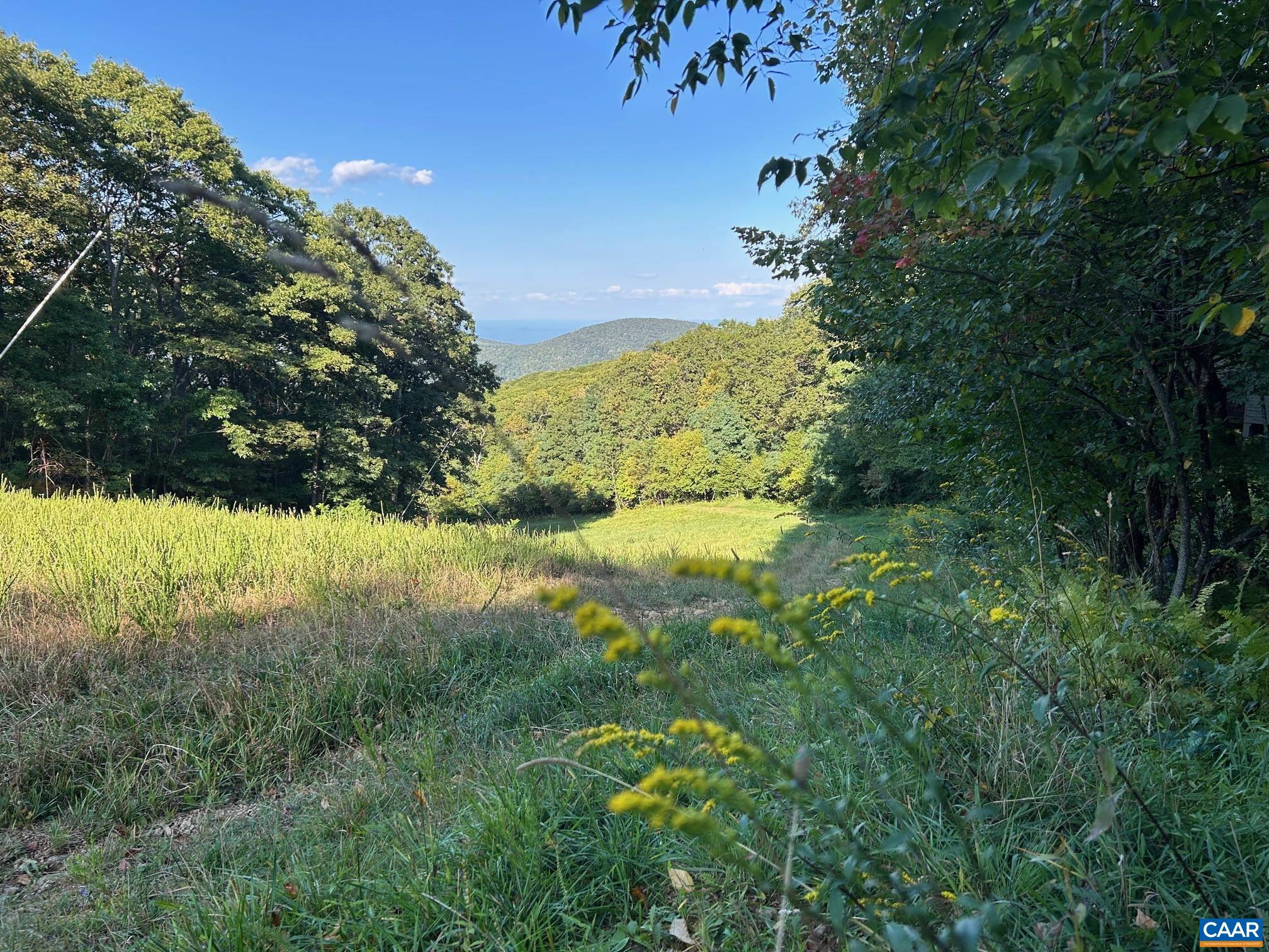 a view of yard with green space