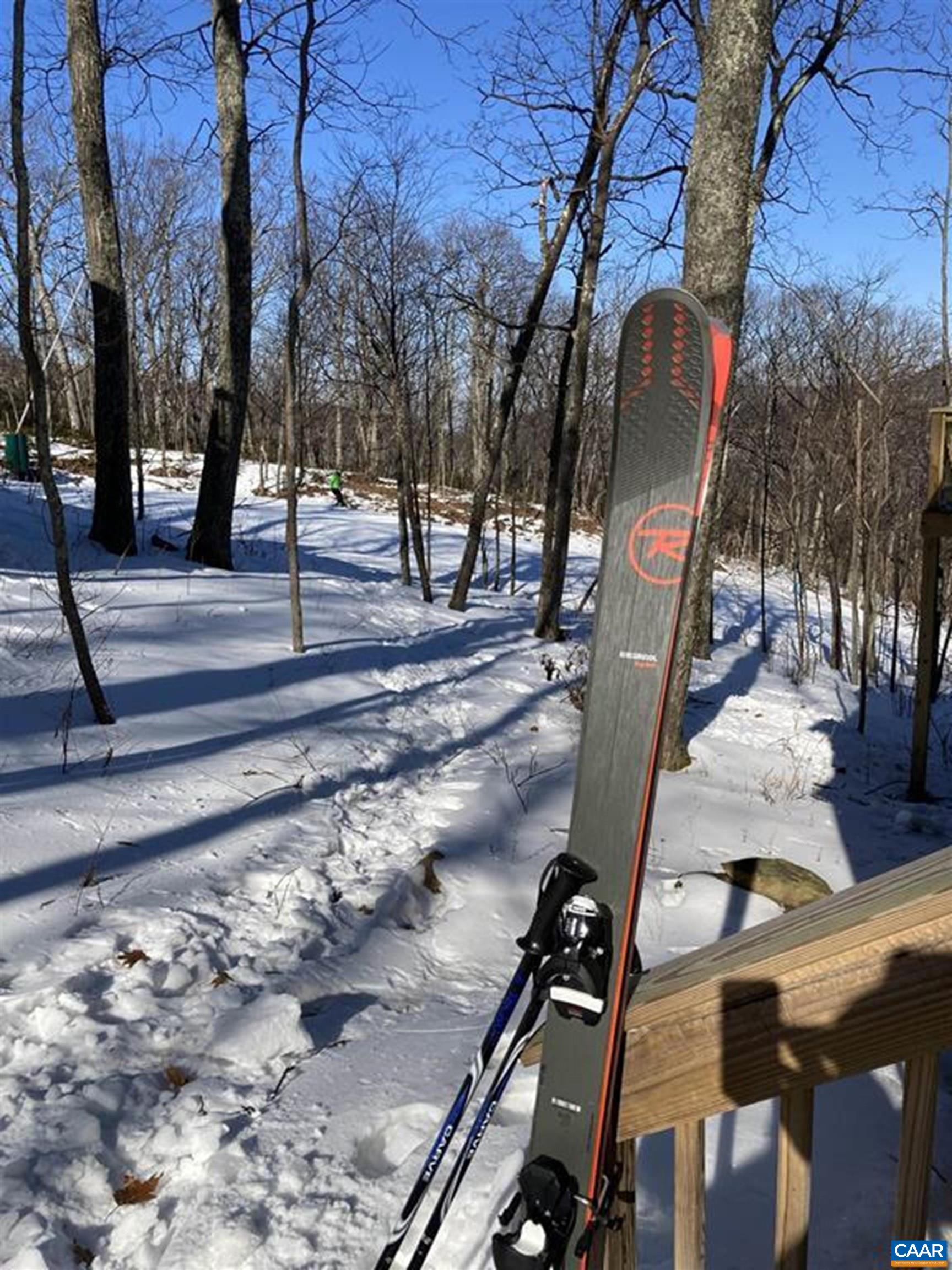 134 Squirrel Tree Lane Roseland, VA 22967 - Photo 12 of 40 a view of a yard with plants