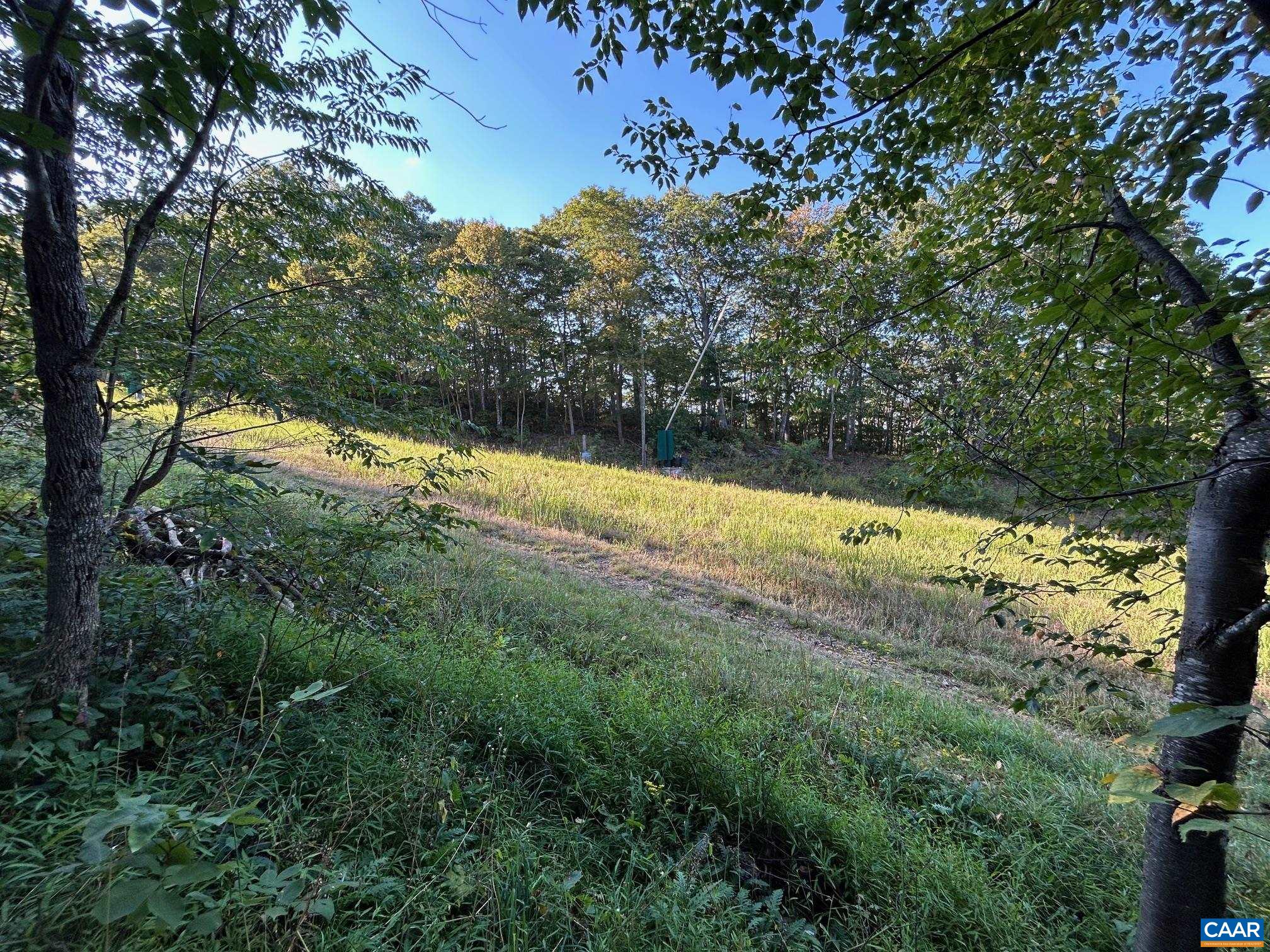 134 Squirrel Tree Lane Roseland, VA 22967 - Photo 37 of 40 a view of a lake with a tree