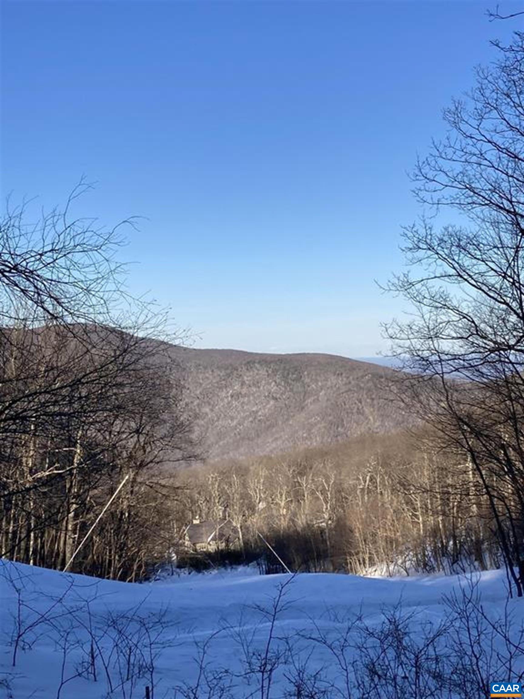 134 Squirrel Tree Lane Roseland, VA 22967 - Photo 9 of 40 a view of mountain view with wooden floor