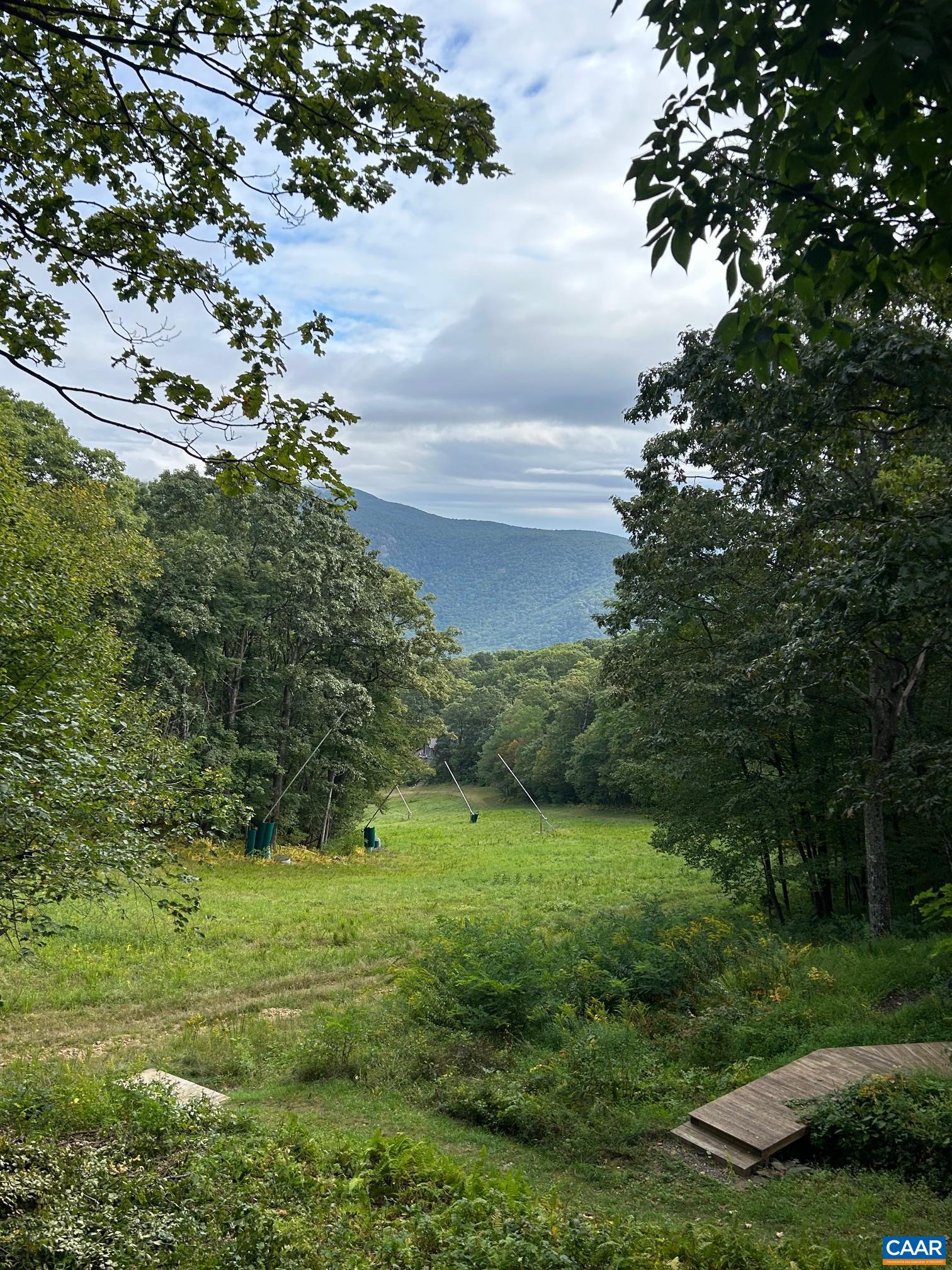 134 Squirrel Tree Lane Roseland, VA 22967 - Photo 10 of 40 a view of a garden with a tree
