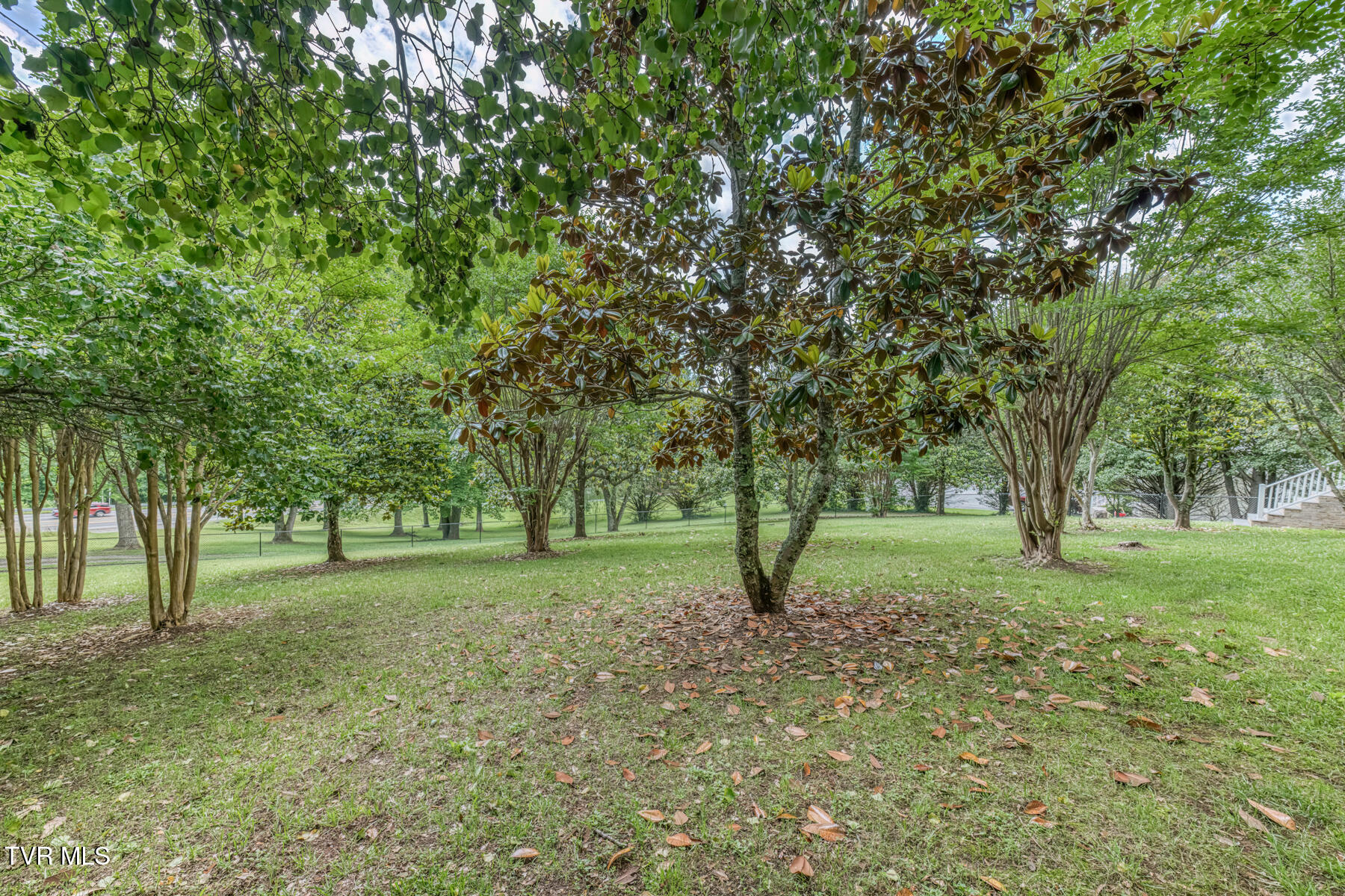3935 Erwin Highway Afton, TN 37616 - Photo 61 of 83 3935 Erwin Hwy-52