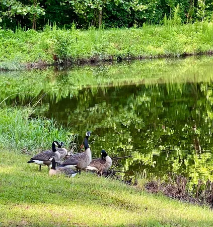 $148,000 | 385 Canterbury Drive, Evans, GA 30809