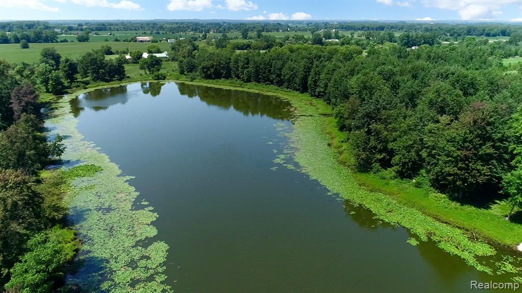 8910 Petz Road Imlay City, MI 48444 - Photo 7 of 62