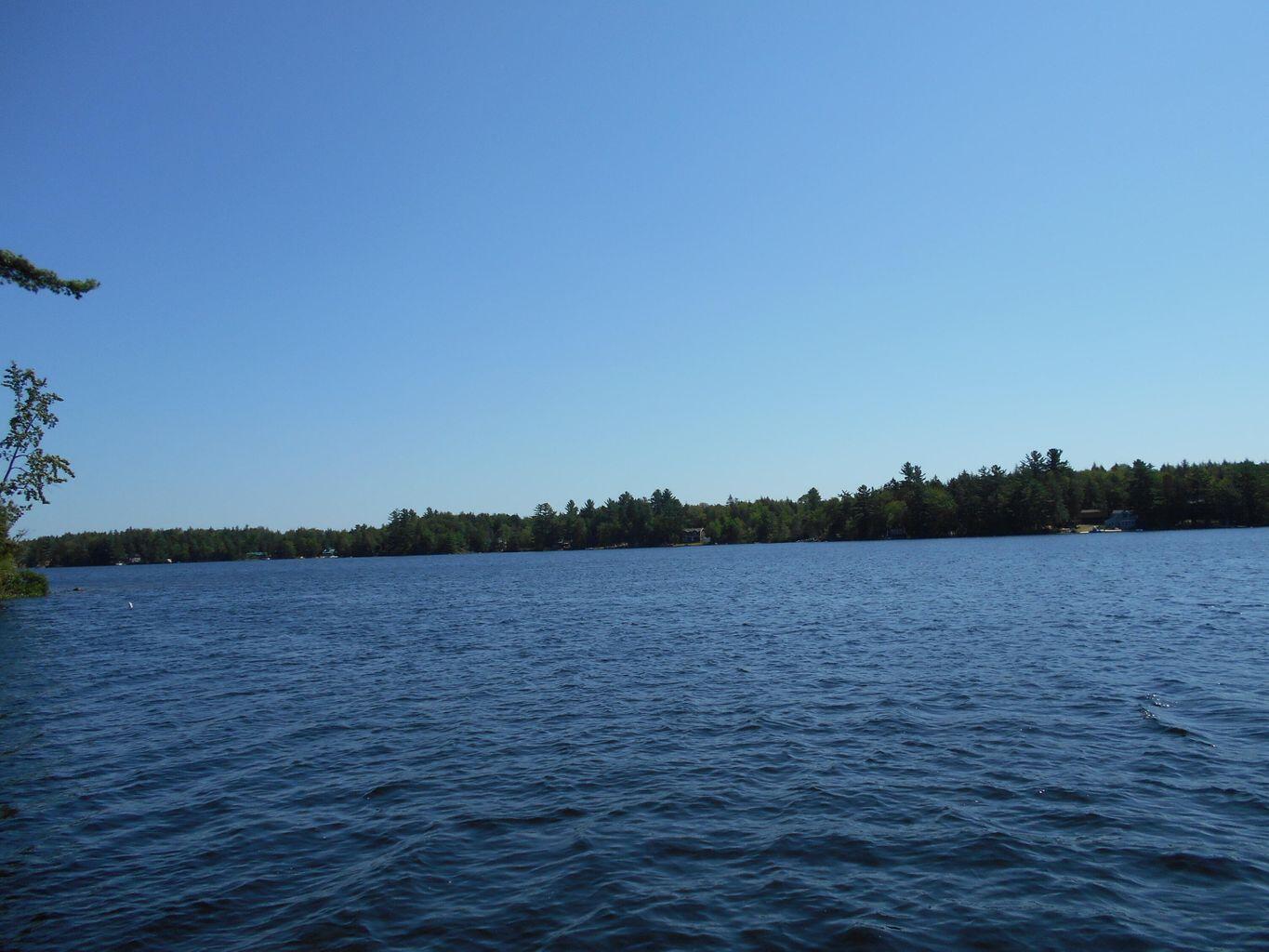 64 West Smith Pond Road Millinocket, ME 04462 - Photo 26 of 100 20210806144351223711000000-o