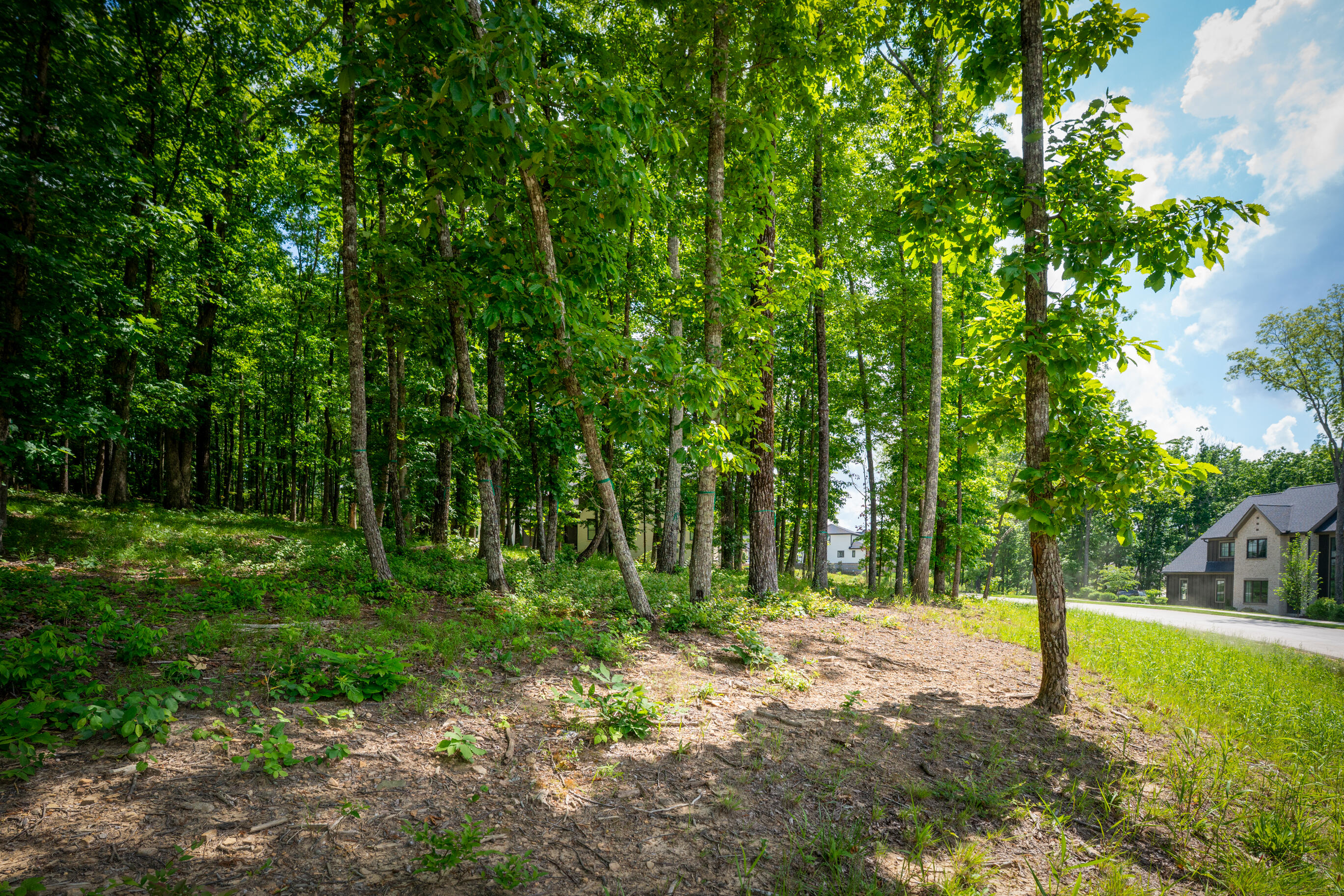 4562 Amethyst Road Chattanooga, TN 37419 - Photo 14 of 28 _DSC1426-Edit