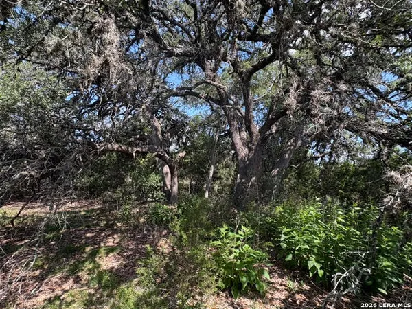 $135,000 | Lot 2025 Split Ridge, Spring Branch, TX 78070