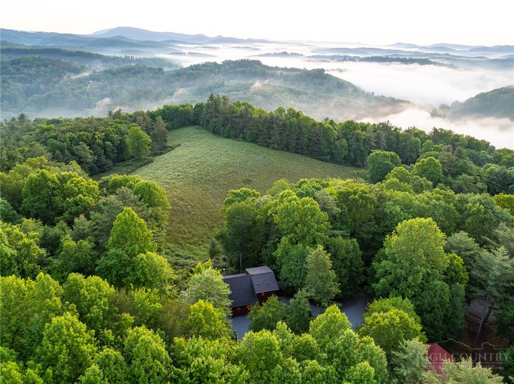 351 Talon Drive Boone, NC 28607 - Photo 3 of 45