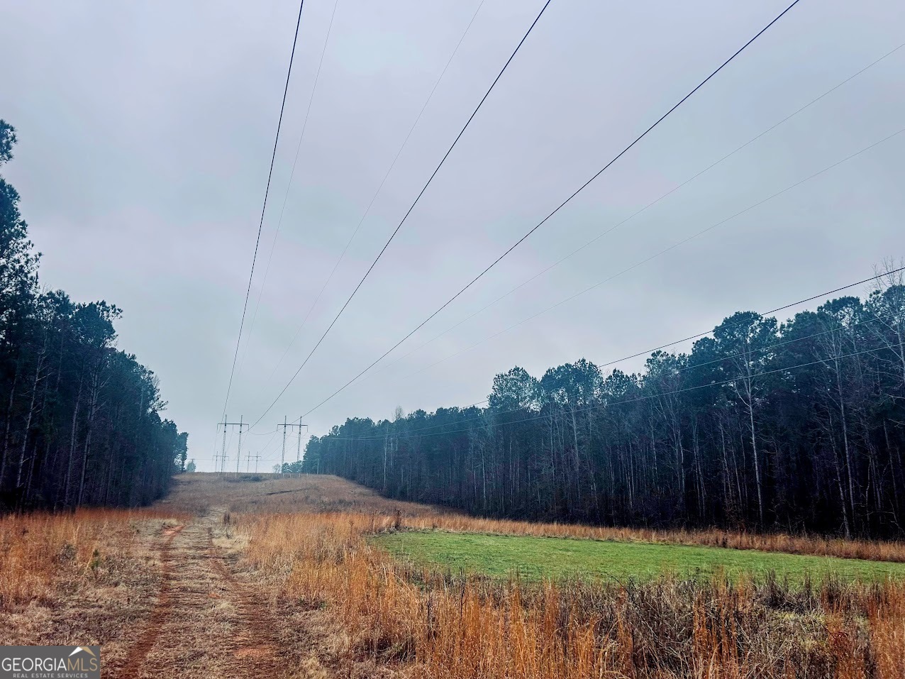 277 Pettigrew Road Northwest Milledgeville, GA 31061 - Photo 1 of 20