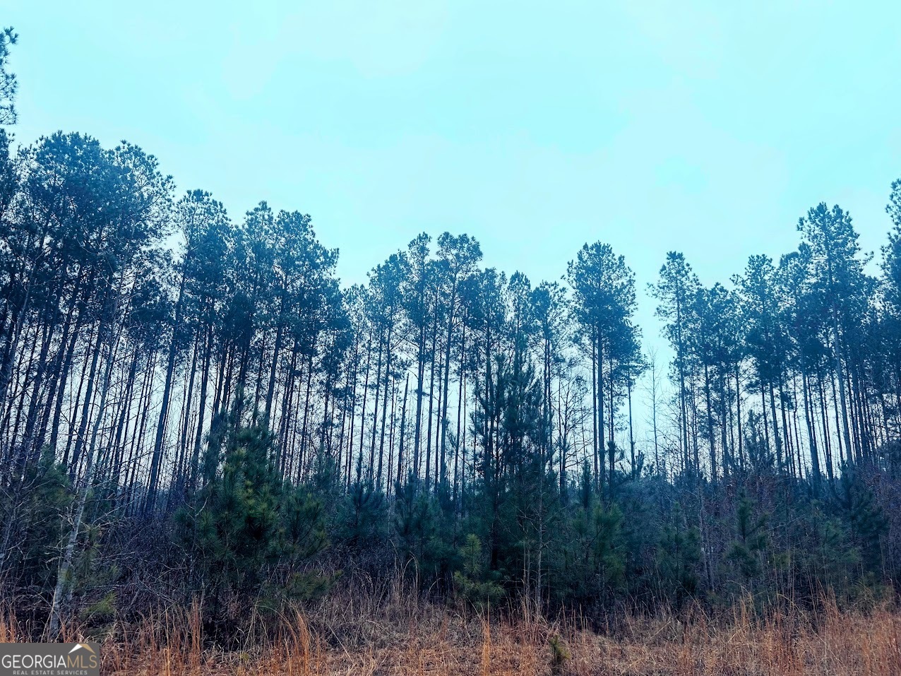 277 Pettigrew Road Northwest Milledgeville, GA 31061 - Photo 17 of 20