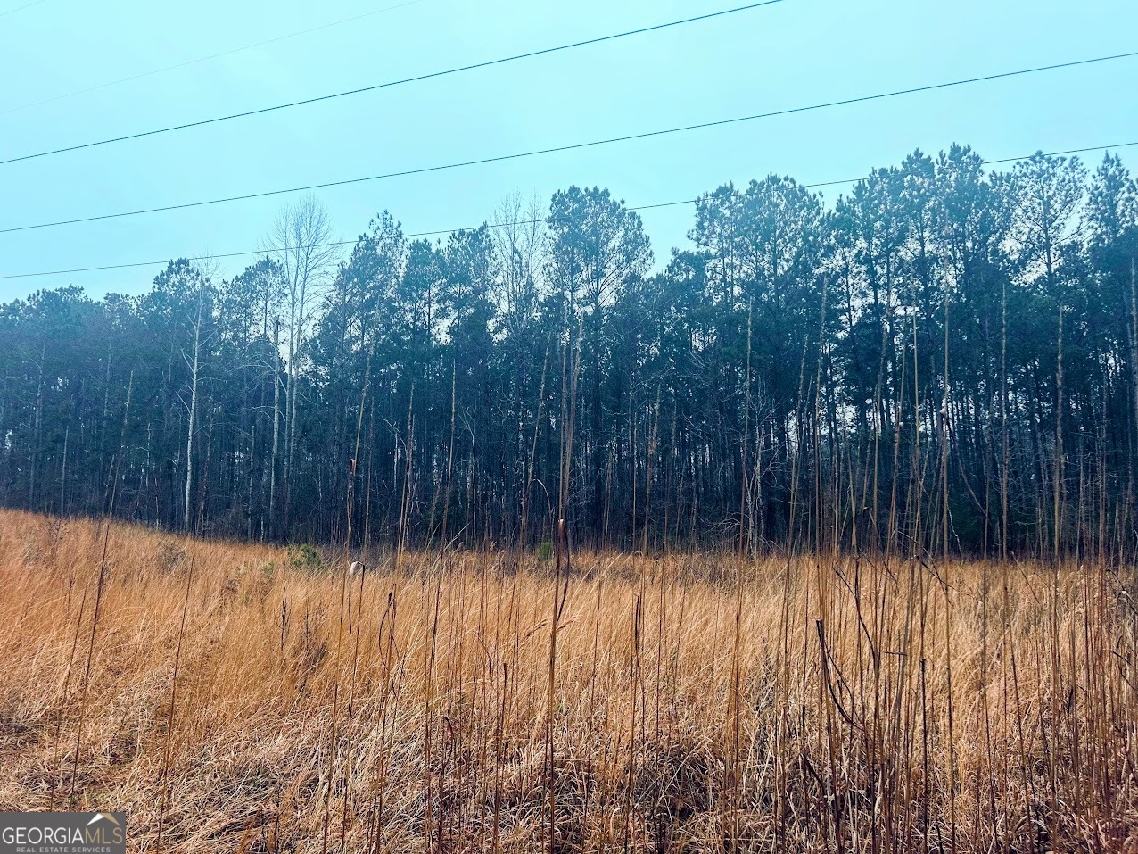 277 Pettigrew Road Northwest Milledgeville, GA 31061 - Photo 6 of 20