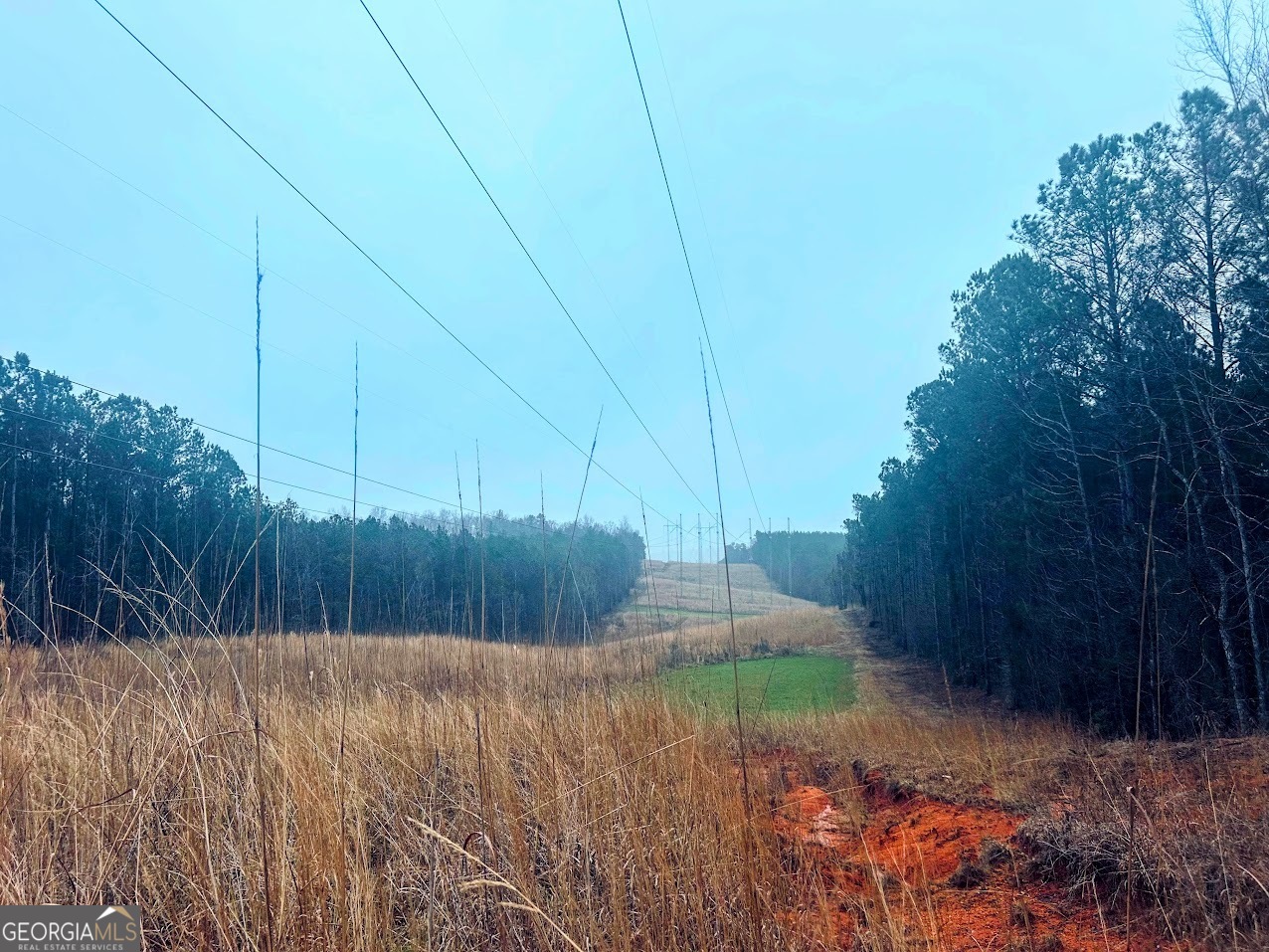 277 Pettigrew Road Northwest Milledgeville, GA 31061 - Photo 8 of 20