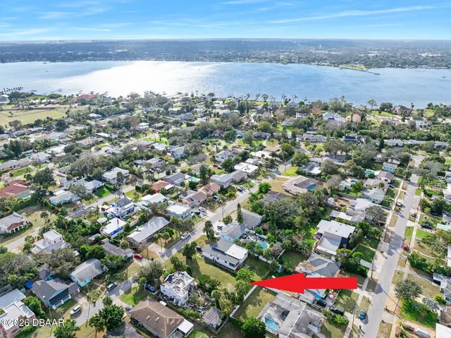a view of a yard with plants and palm trees