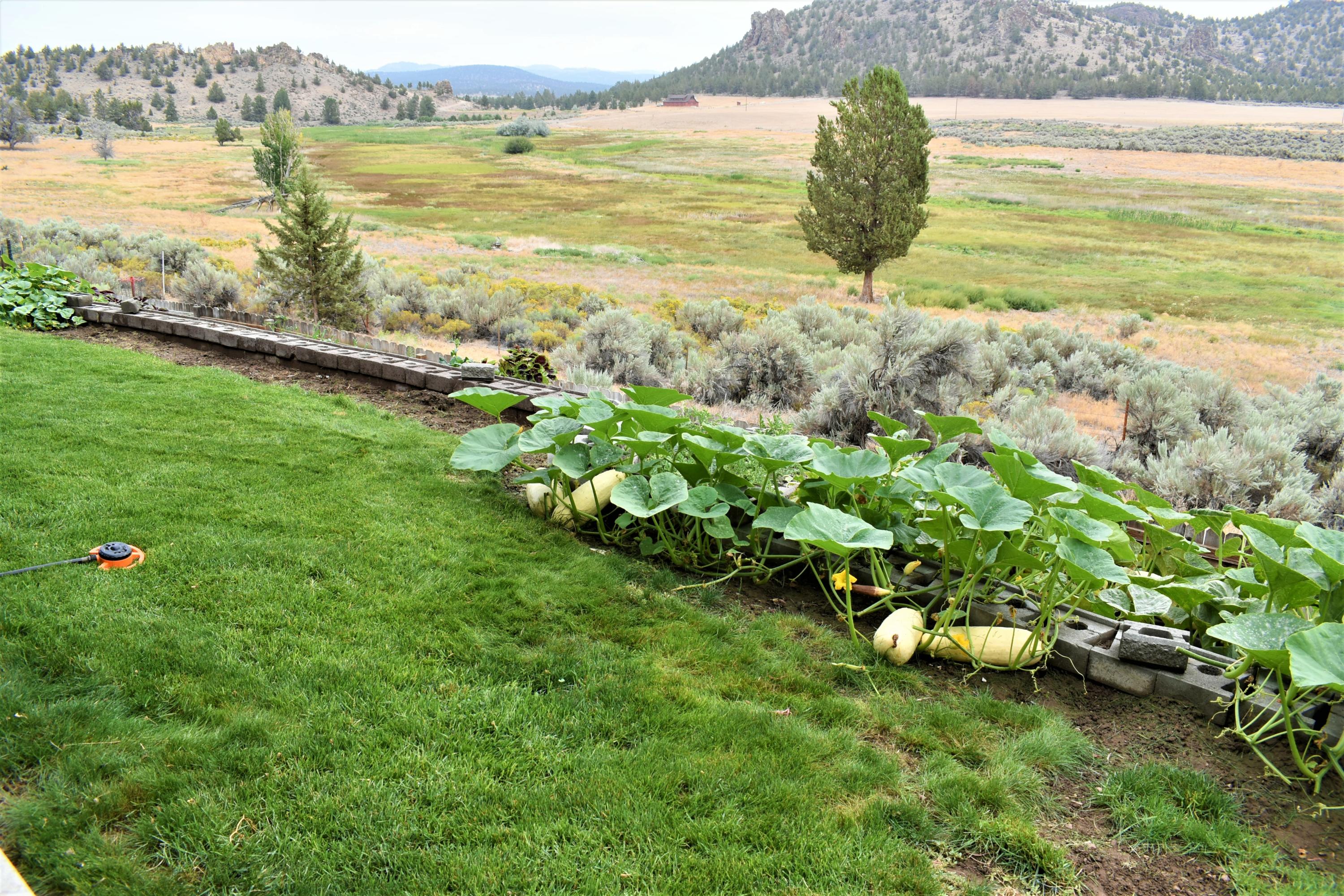2330 Northeast Yellowpine Road Prineville, OR 97754 - Photo 35 of 41 DSC_0024 (2)