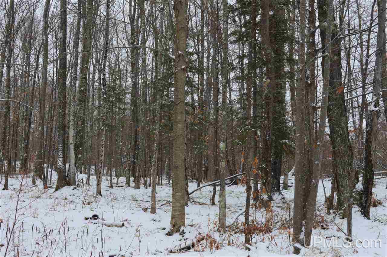Tbd Herman Road Lanse, MI 49946 - Photo 25 of 50 Gallery Image 25