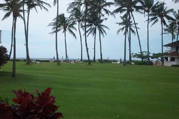 2253 Poipu Road, Unit 28 Koloa, HI 96756 - Photo 11 of 12 a garden with palm trees