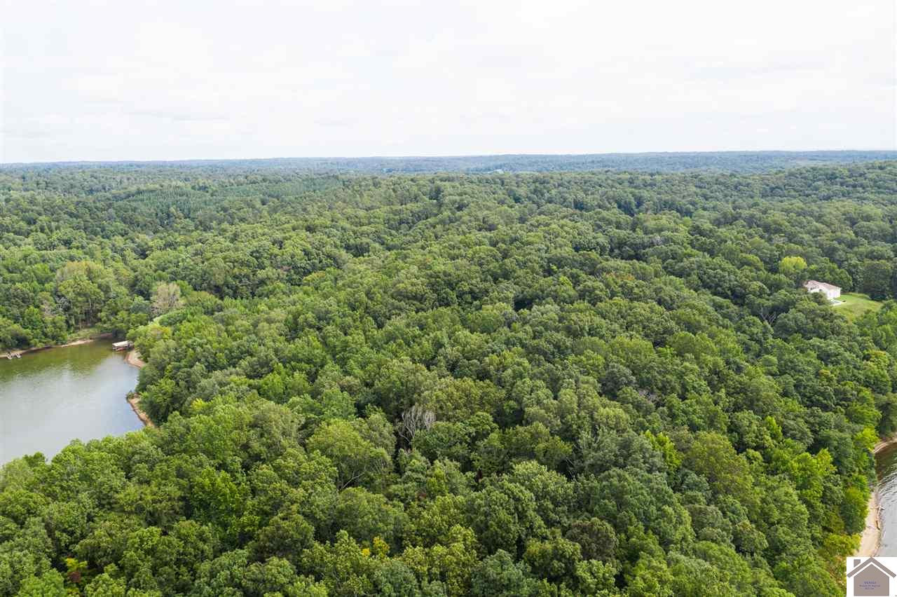 0 Oak Ridge Road Cadiz, KY 42211 - Photo 11 of 22 Photo 11