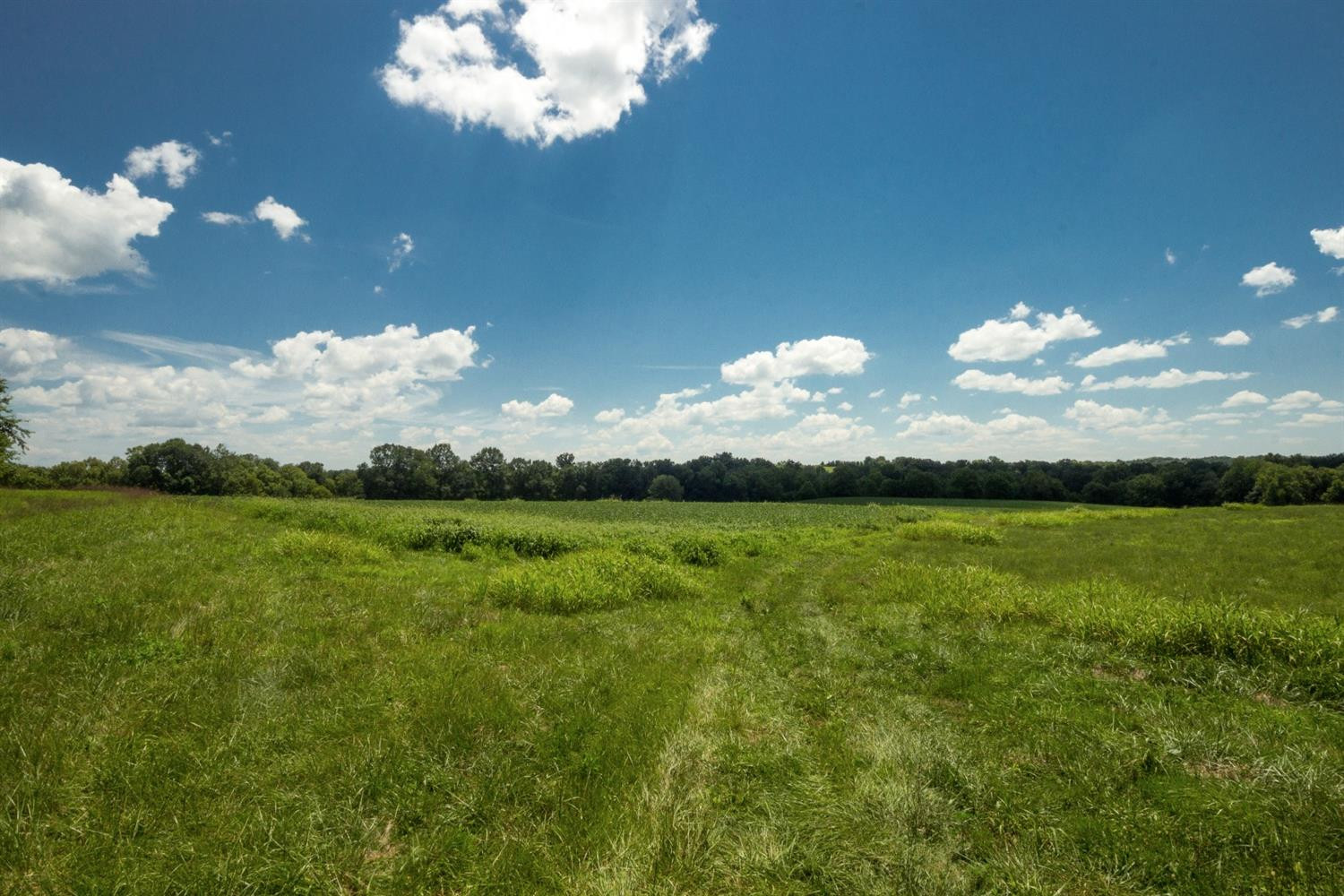 4360 Goshen Road Stanford, KY 40484 - Photo 7 of 72 Photo 7