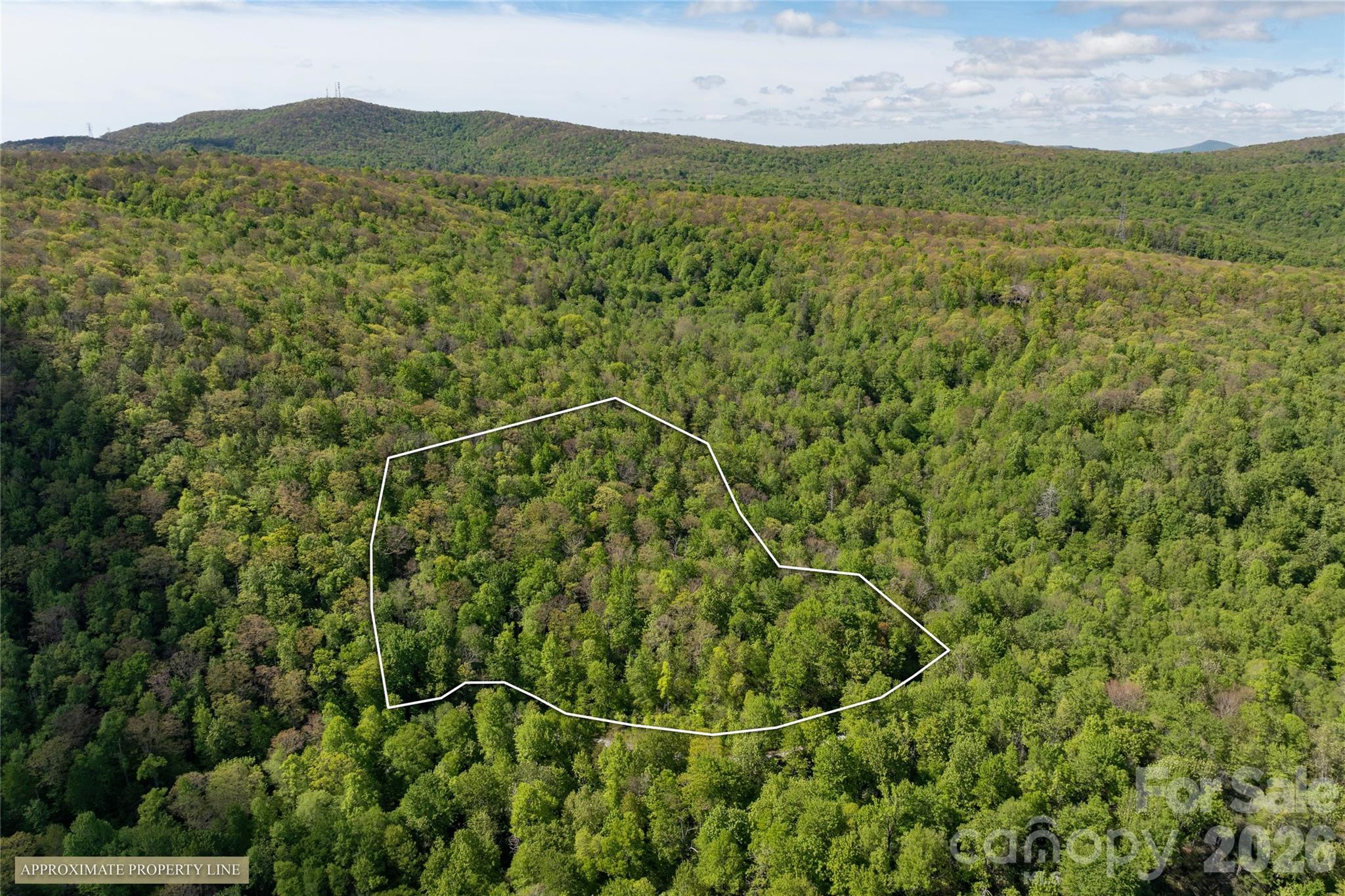 Tbd Long Rdg Road Lake Toxaway, NC 28747 - Photo 11 of 13